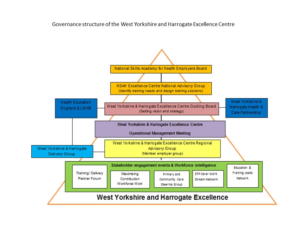 WYHEC Governance Structure diagram.jpg